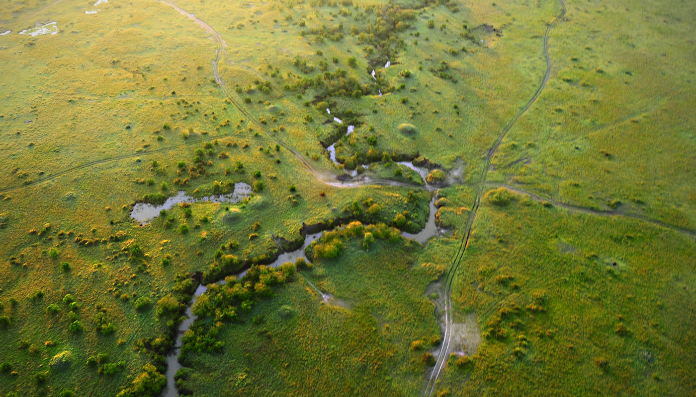 masaimara-56